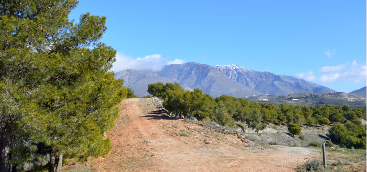 Sendero Fuente de la Bullarenga