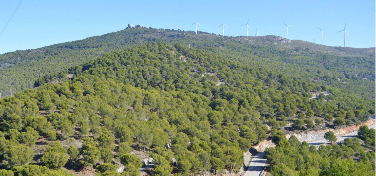 Sendero Sierra del Conjuro