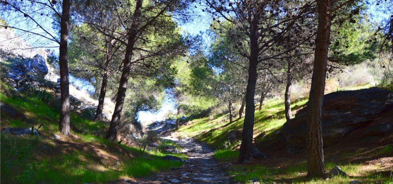 Sendero Camino Antiguo de Granada